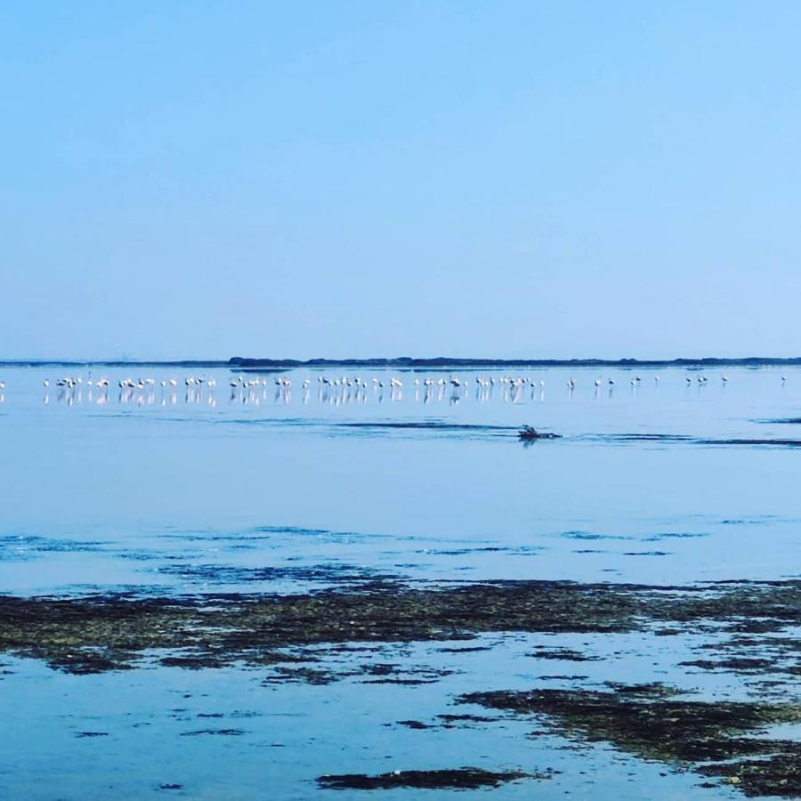 Appartement Au Coeur Des Rizieres Salin-de-Giraud Exteriér fotografie
