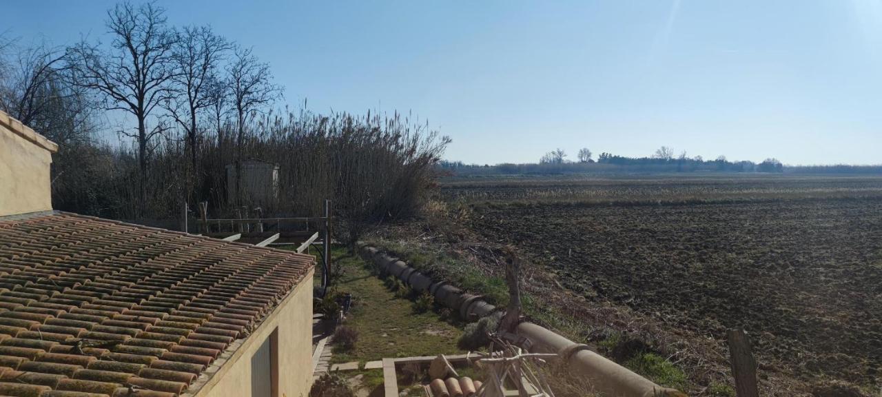 Appartement Au Coeur Des Rizieres Salin-de-Giraud Exteriér fotografie
