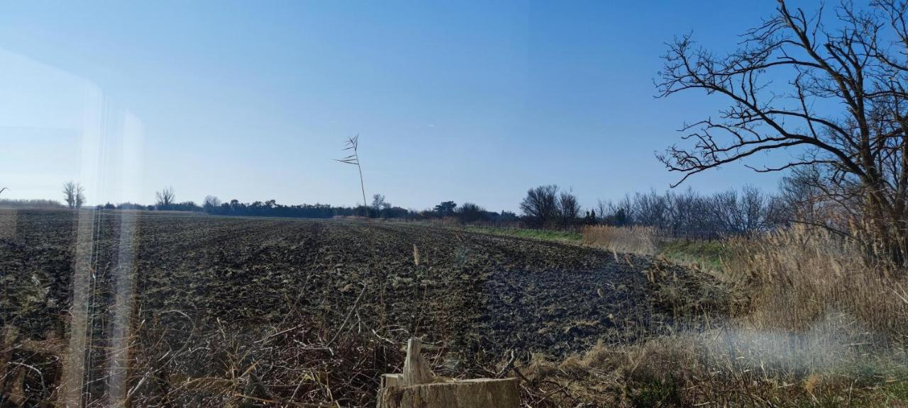 Appartement Au Coeur Des Rizieres Salin-de-Giraud Exteriér fotografie