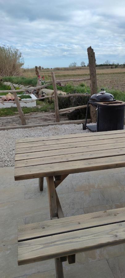 Appartement Au Coeur Des Rizieres Salin-de-Giraud Exteriér fotografie